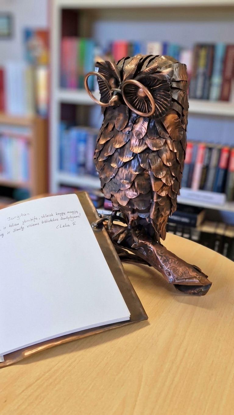 Copper owl with a book for a library